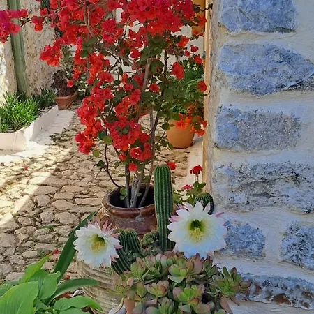 Grandpa's 3* Areopoli