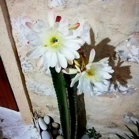 Maison d'hôtes Grandpa's Areópoli