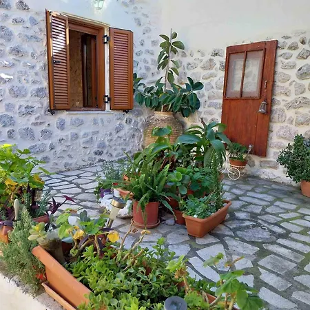 Grandpa's Guest house
