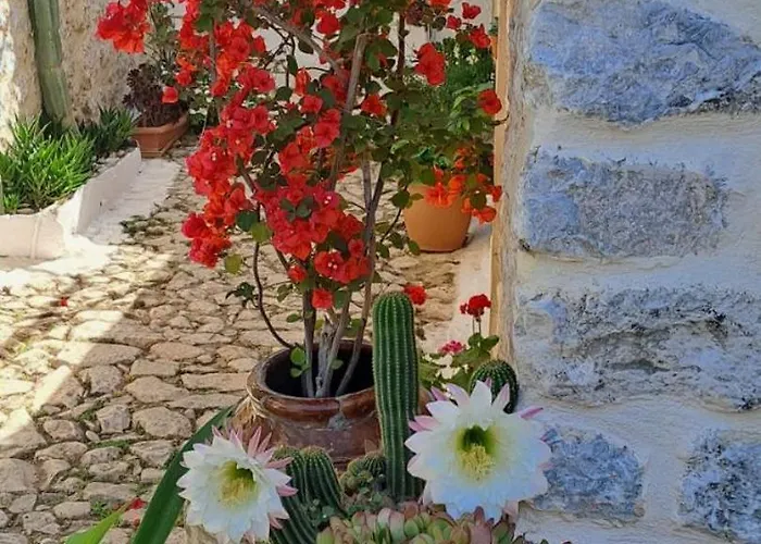 Grandpa's 3* Areopoli