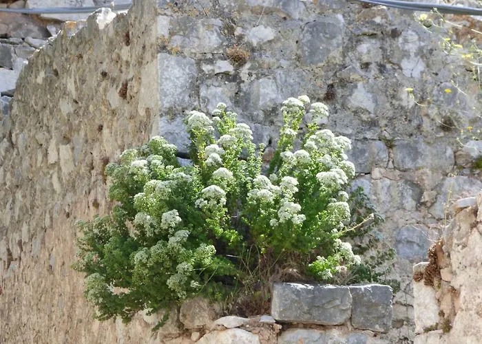 Pensjonat Grandpa's 3*